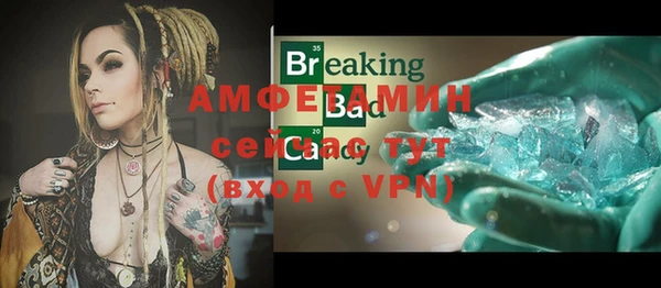 индика Заволжье