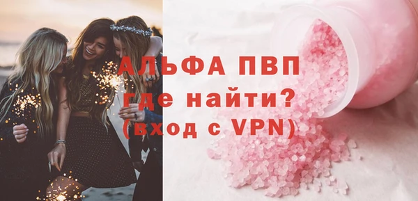 индика Заволжье