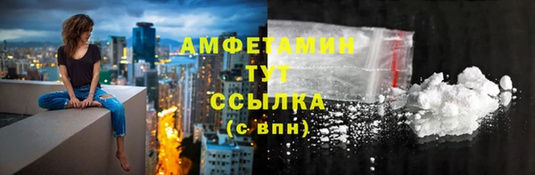 индика Заволжье