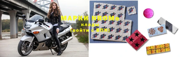 индика Заволжье