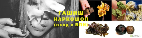 индика Заволжье