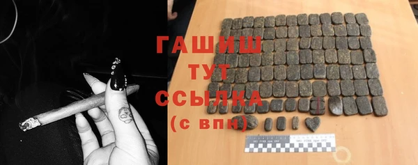 индика Заволжье