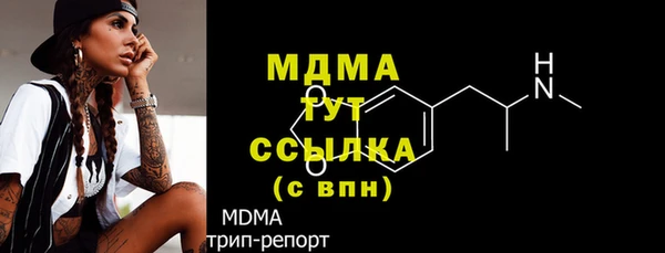 индика Заволжье
