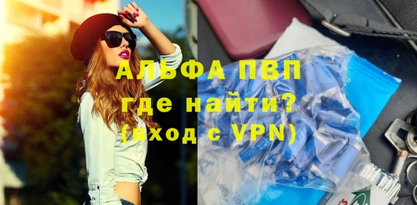 индика Заволжье