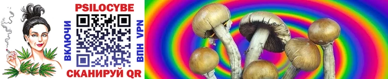 Псилоцибиновые грибы Cubensis  дарнет шоп  маркетплейс состав  Каменск-Шахтинский 