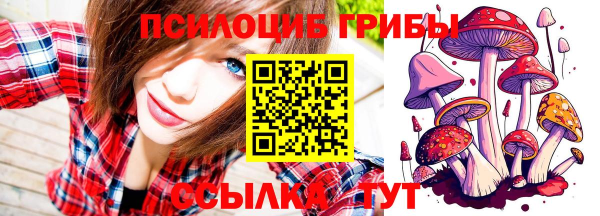 Каменск-Шахтинский  Псилоцибиновые грибы Psilocybine cubensis  цена наркотик  Вход с VPN 